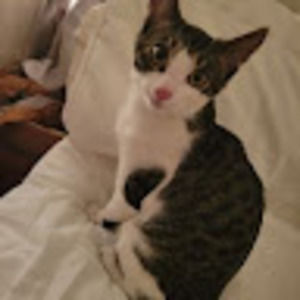 Meet your Posher, Maliatheboss